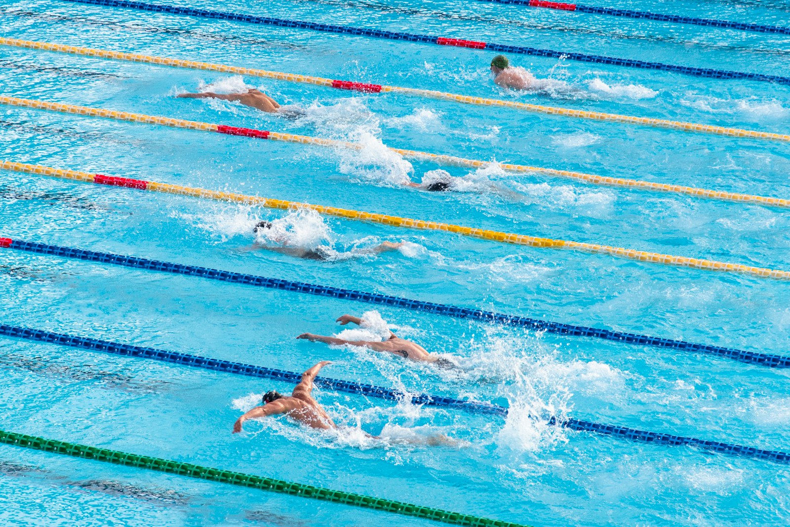 Overhead view of swimmers racing